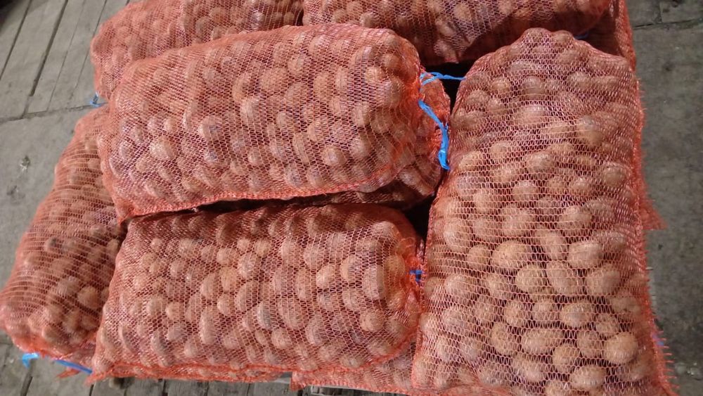 Местная картошка 160тг кг