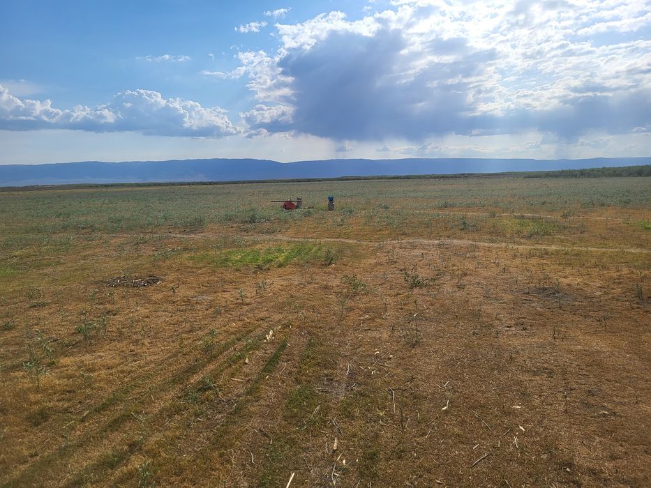 Фазендаға срочно срочно