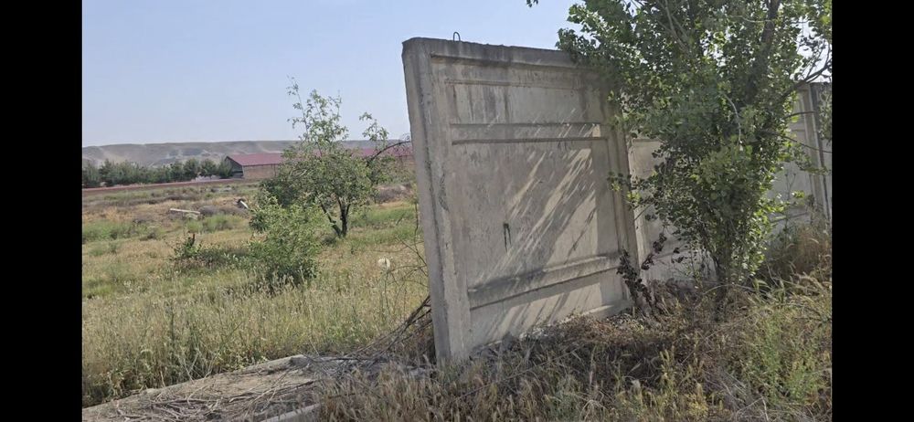 СВОЯ Земля 1.46 га п.Зилха, Алтыарыкский р, Ферганская обл.
