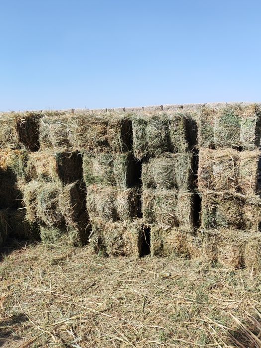 Beda  Makka sorgo aralash press sotiladi.