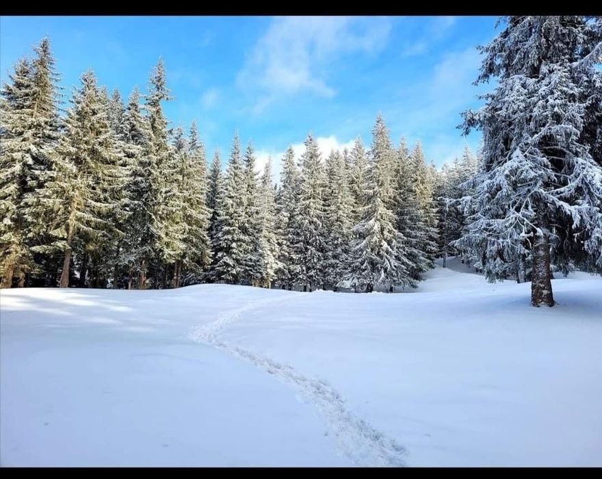 La munte zona Vatra Dornei