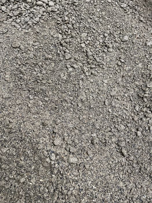 Srot floarea soarelui