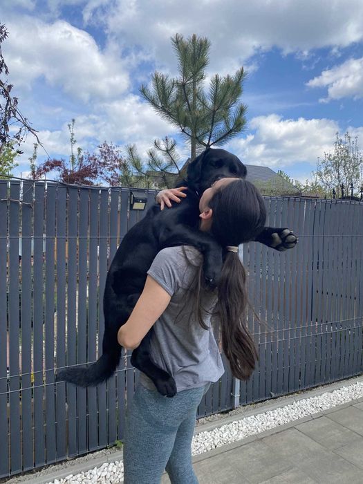 Pet / Dog Sitter - vizite la domiciliu Brasov