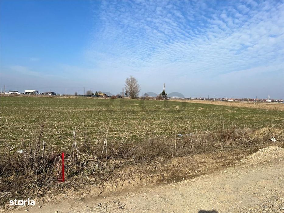 Reco Teren Intravilan In Nojorid Zona Industriala 5985Mp