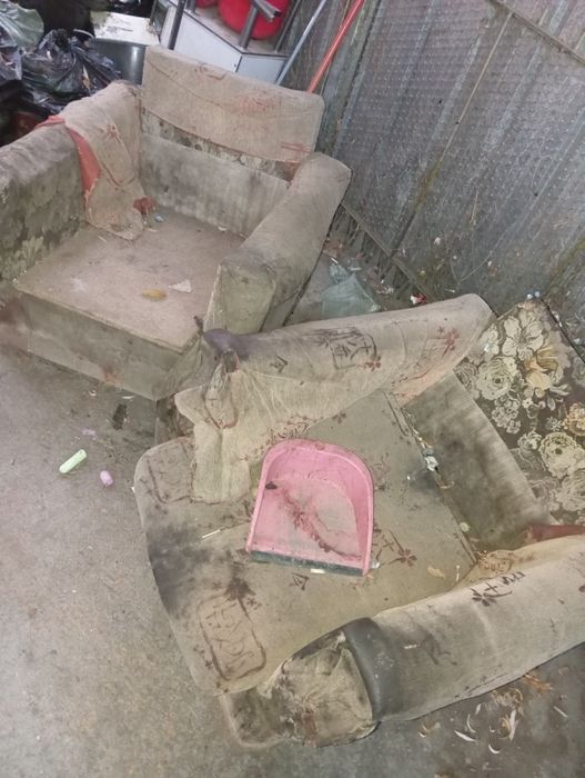 Отдам даром, самовывоз