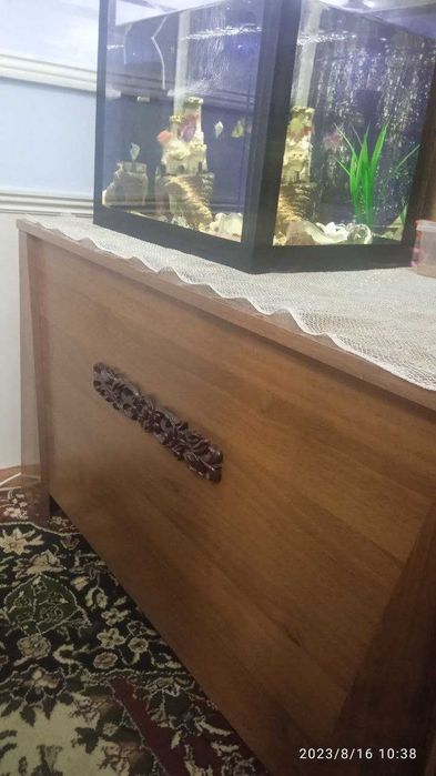 Mebelni sandiq yongoq daraxtidan qilingan prochni
