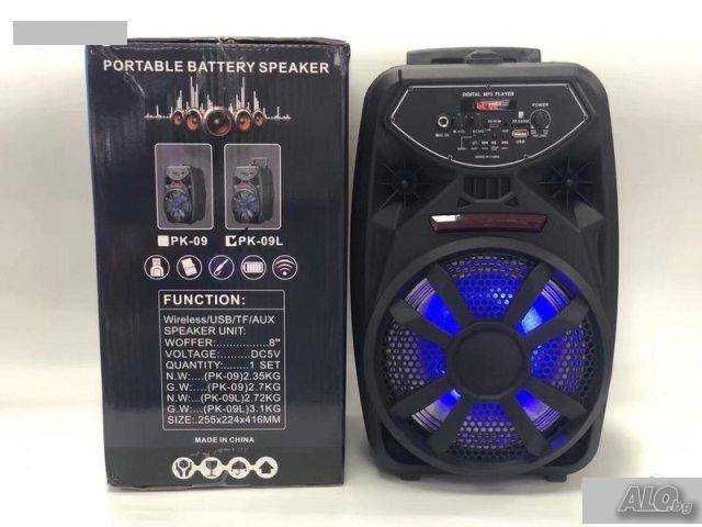 Тонколона PK-09L с вграден усилвател, FM тунер безжичен микрофон
