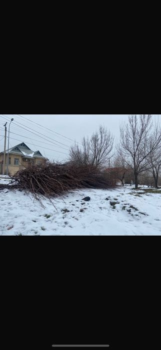 Дайын отын тегін береміз