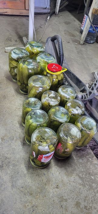 Соленые огурцы,новый урожай