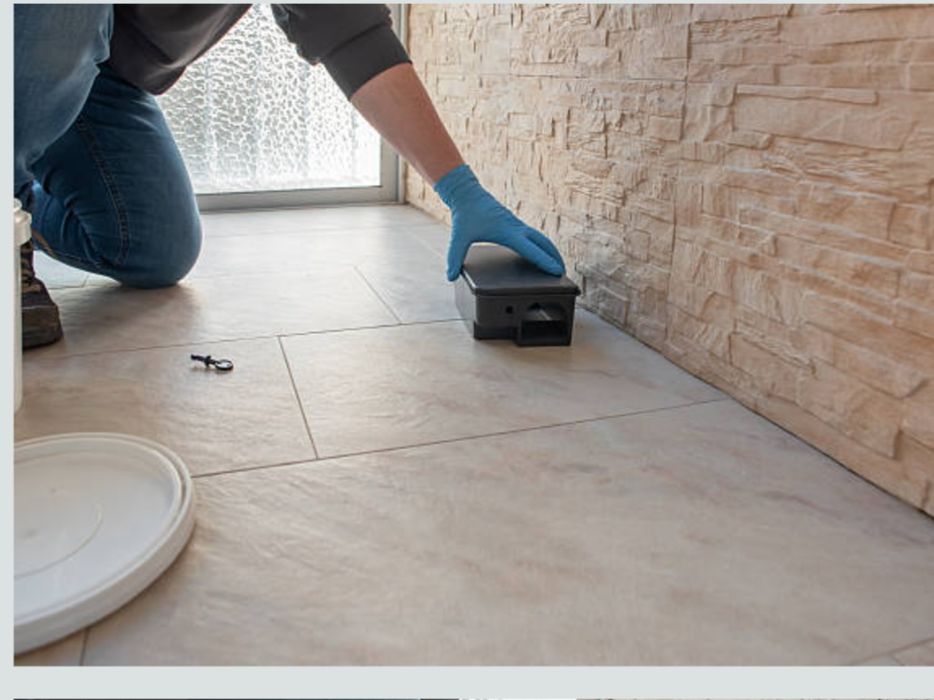 Бокс от грызунов