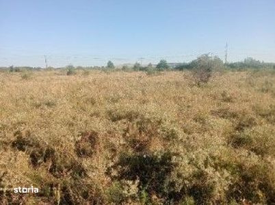 Targu Neamt, Punct Manesti, cota parte 1/2, ID: R2759107