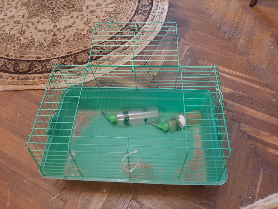 cusca animalut pisic ,catel etc