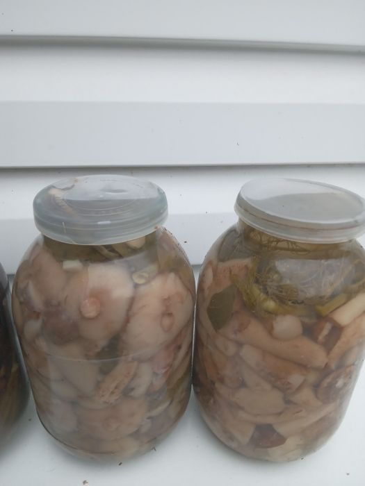 Продам маринованные грибы
