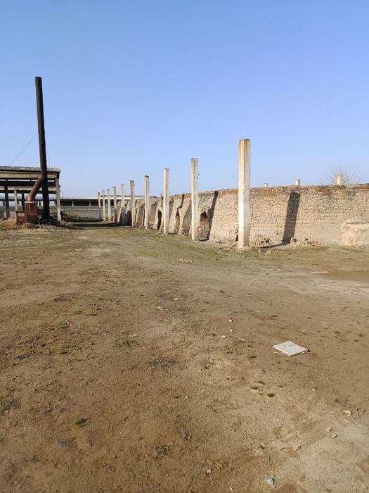 Продается Кирпичная База в Шахризабзе 1,12 гектаров