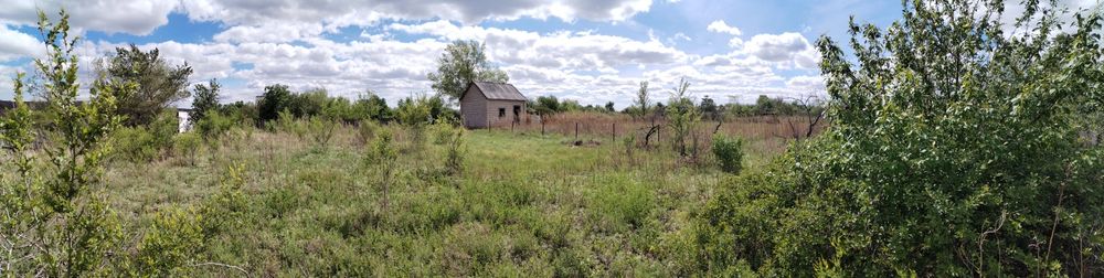 Продам 2 дачи одним участком