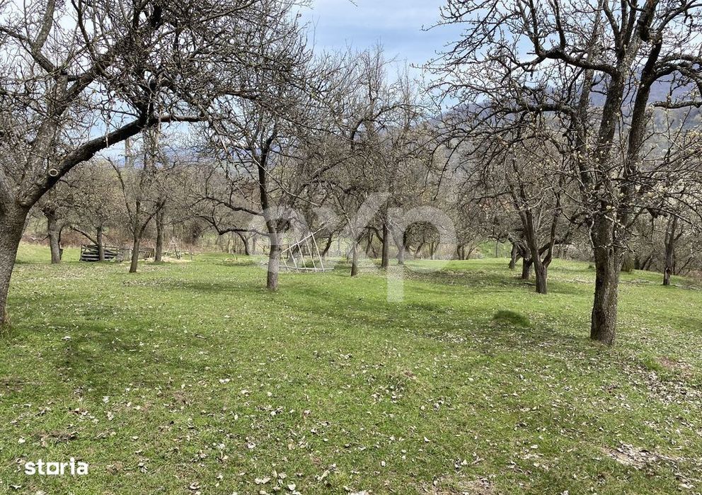 Oportunitate investitie in Corbi, Arges | 22.000 mp teren in zona de