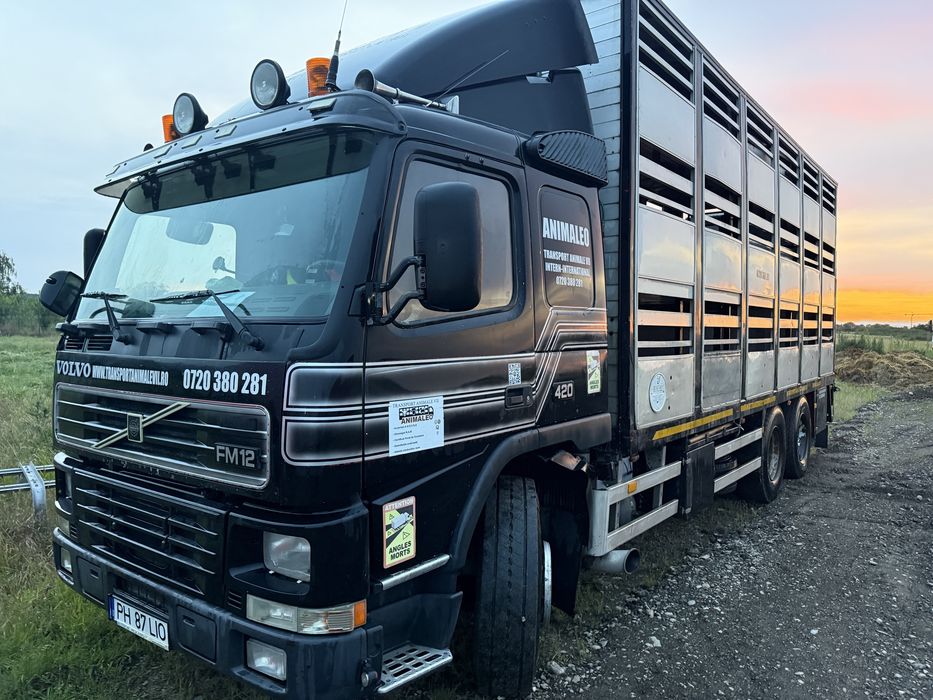 Volvo FM12 animale vii