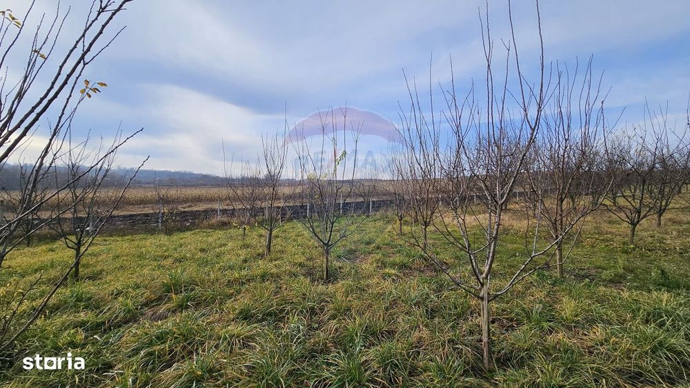 Teren extravilan 10,791mp Falticeni / Strada DJ209A, Opriseni