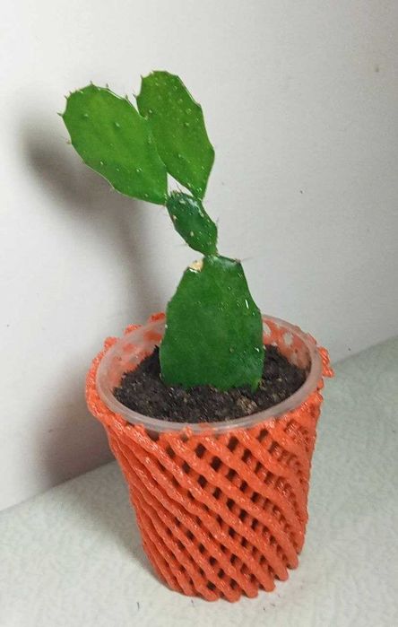 Продам. Цветочки.