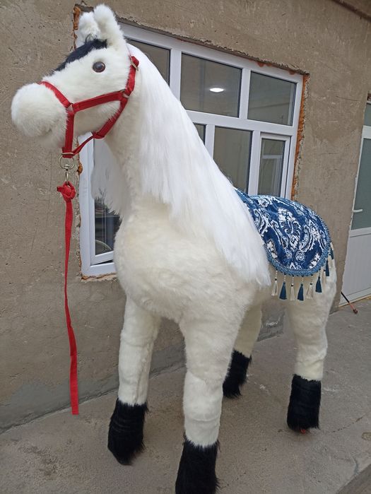 Ayiq sotiladi teddi sotkladi