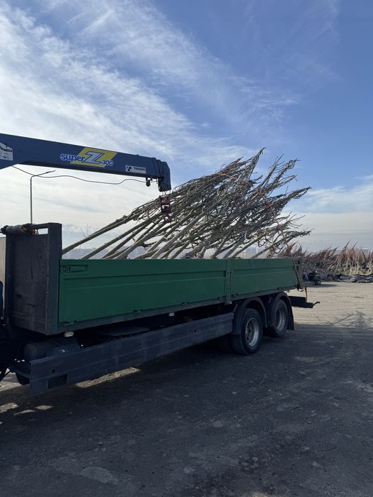 Манипулятор Услуги Манипулятора