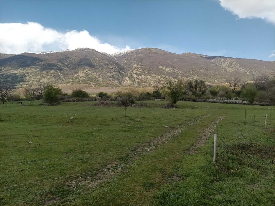 Продава се Земеделски имот в Карлово -  кв.м за 5750 €/дка - Снимка #15