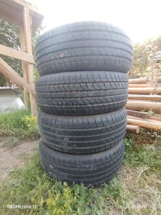 Bars balon razmer 16