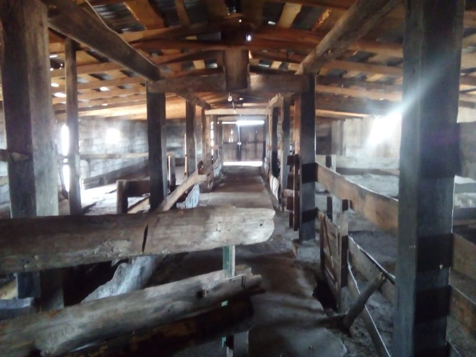 Продам дом в Умит апа