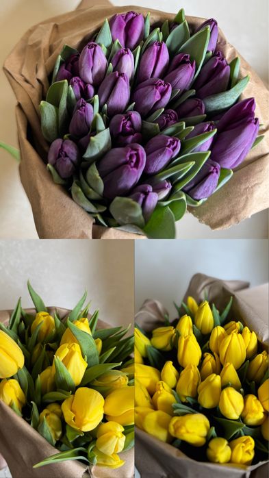 Тюльпаны оптом и в розницу