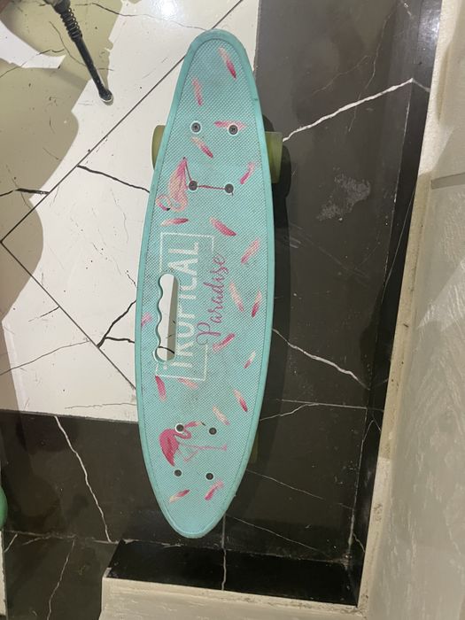 Пениборд   скейт