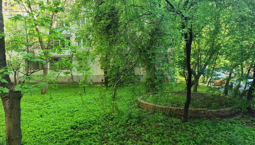 Constantin Brancoveanu, Budimex, metrou, gata de mutat PROPRIETAR