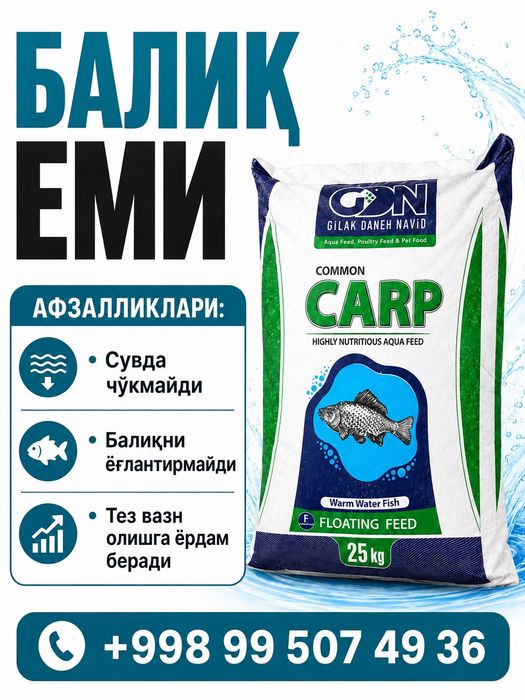 Оптом балик еми сотамиз