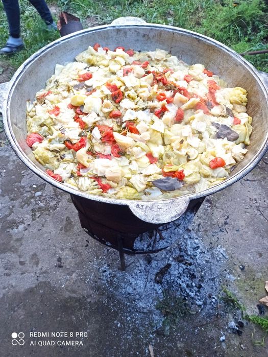 Палау дайиндаймын