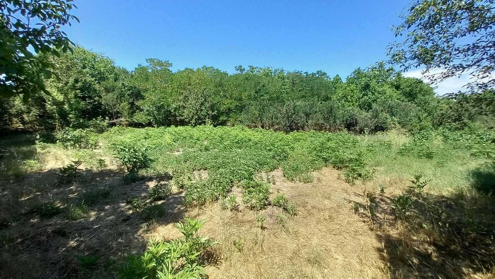 Продава се Парцел в Разград, Орел - 892 кв.м за 60 €/кв.м - Снимка #1