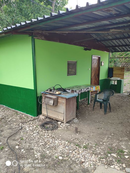 Продава се Къща в с. Поликраище, Област Велико Търново - 5718 кв.м за 9 €/кв.м - Снимка #13