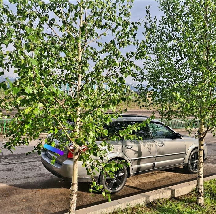Продам Subaru Outback