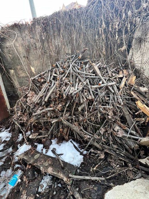 продам дрова яблоней рубленные