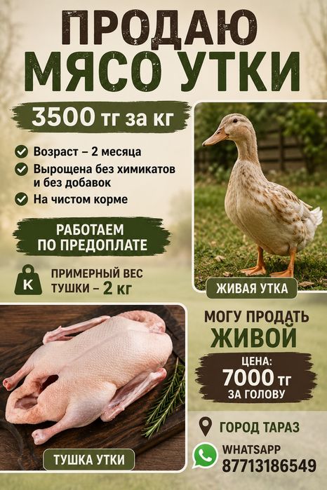 Мясо утки цена 3500