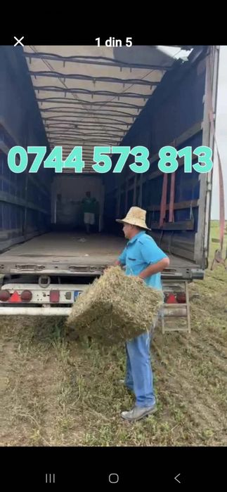 Baloti fan 250-500 Rotunzu 40 Fan or Lucerna.La TIR>RO Ferma chirie

Baloti se aduc pe garantie.
Uferim si cerem seriozitate. 

Doar la TIR 
Baloti fa