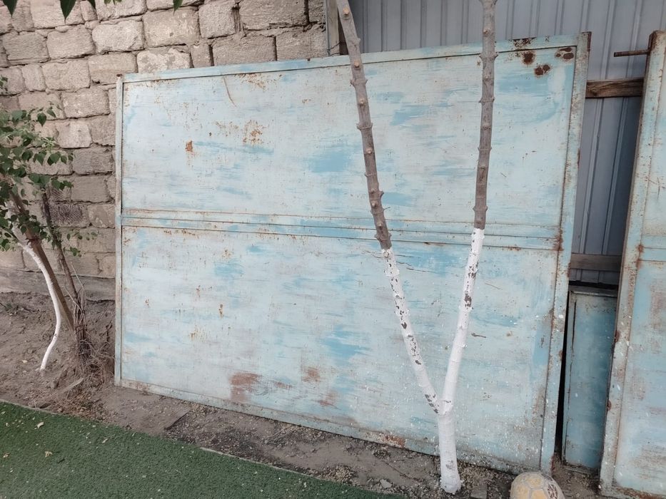 Темір ворота коллектормен