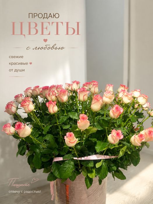 Цветы метровые розы свежие