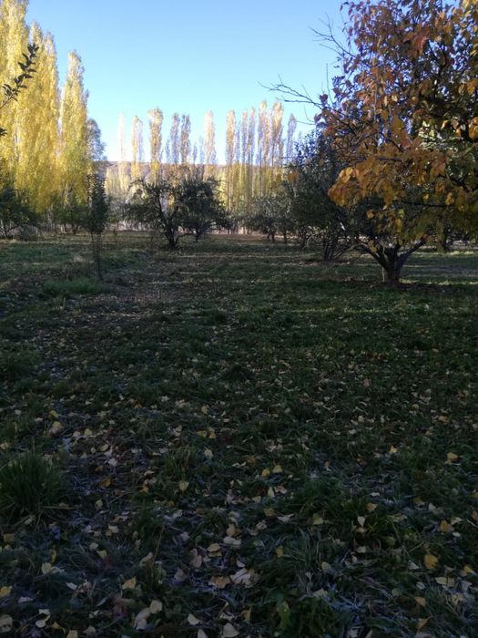 16 соттық жер сатылады