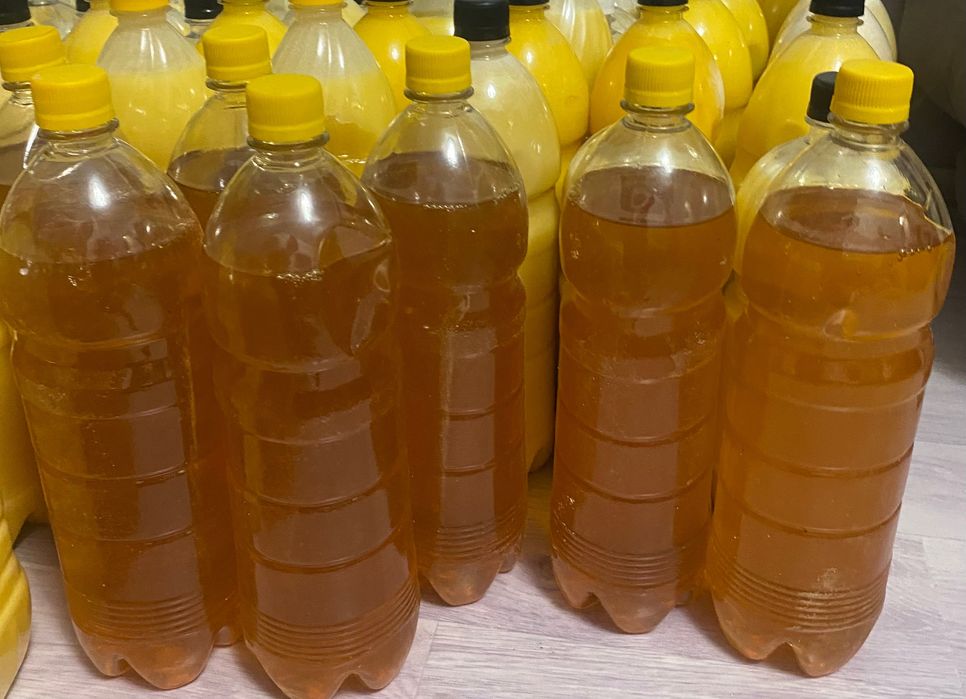 Катон-Карагайский мёд