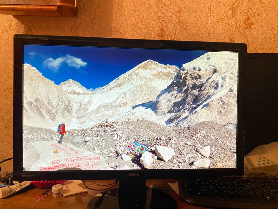 Монитор 24" BenQ GL2450