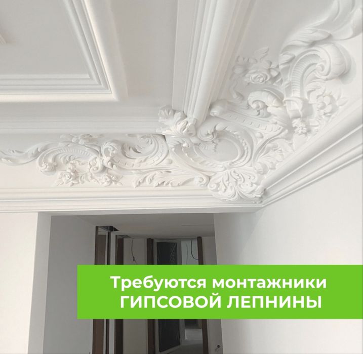 Lepka gips tiyaga zavod narxda xarid qiling
