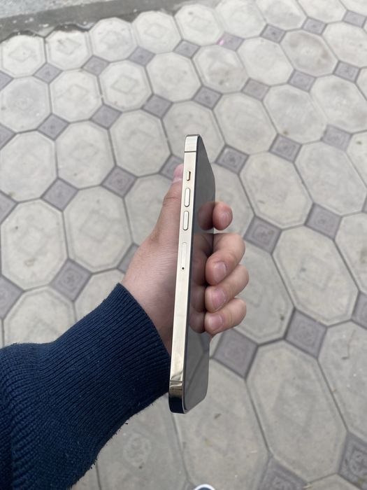 Iphone 13 pro max ideal