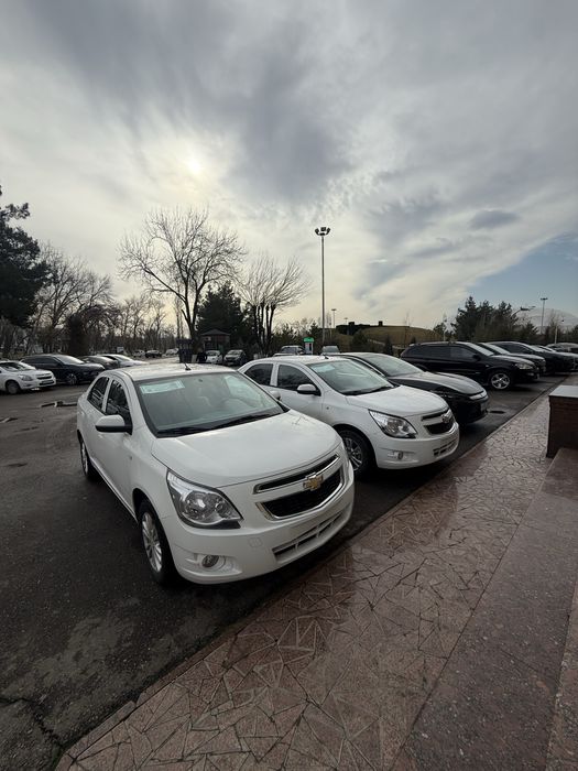 Cobalt Style MSM nasiya savdoga