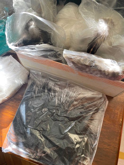 Pene si fulgi naturale (pt obiecte home made)