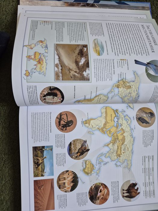 Атлас Животный мир