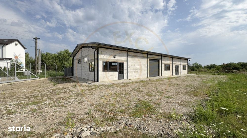Inchiriere Hală Producție/Depozitare 300 mp, Teren 1791 mp - Carei